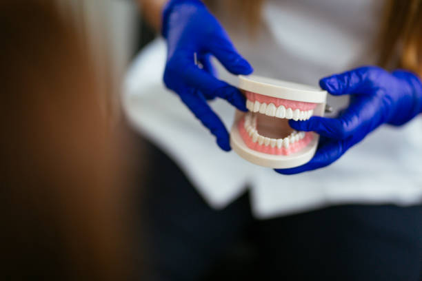 Reliable Brainerd, MN  Holistic Dental Services Solutions
